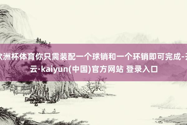 欧洲杯体育你只需装配一个球销和一个环销即可完成-开云·kaiyun(中国)官方网站 登录入口