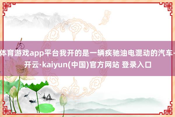 体育游戏app平台我开的是一辆疾驰油电混动的汽车-开云·kaiyun(中国)官方网站 登录入口