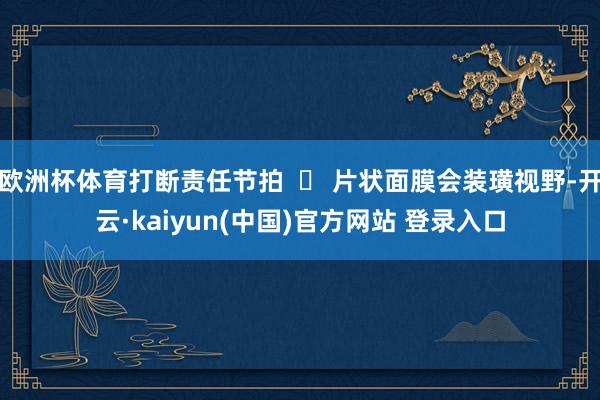 欧洲杯体育打断责任节拍  ✅ 片状面膜会装璜视野-开云·kaiyun(中国)官方网站 登录入口